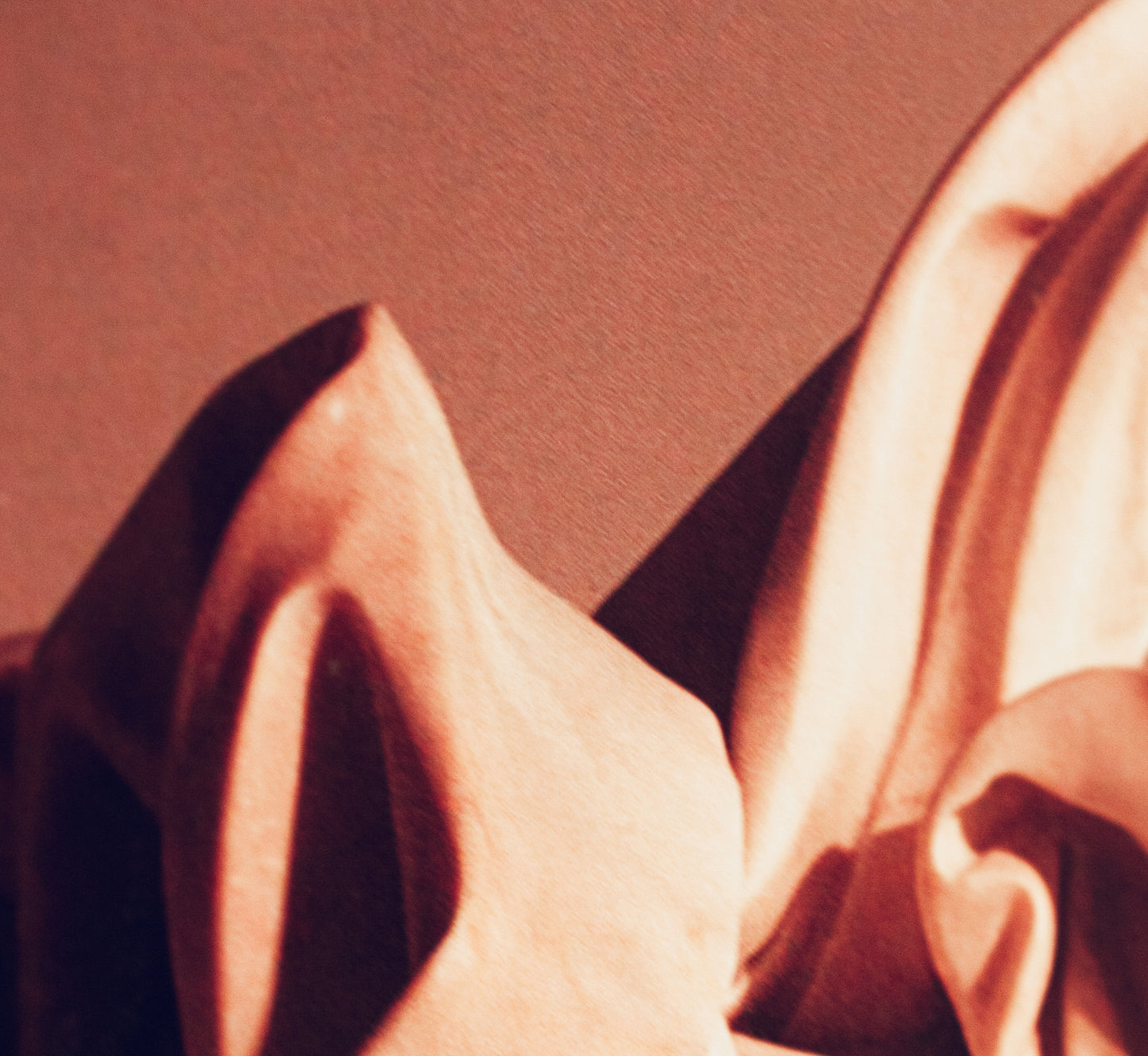 A photograph by Alex Dorfsman, Contemporary Textile Abstraction